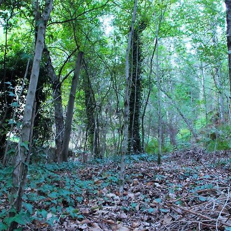 Eco Camping Juncal Hotel Marco de Canavezes Esterno foto