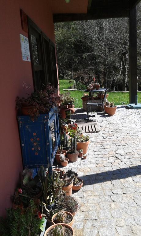 Eco Camping Juncal Hotel Marco de Canavezes Esterno foto