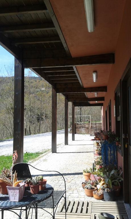 Eco Camping Juncal Hotel Marco de Canavezes Esterno foto
