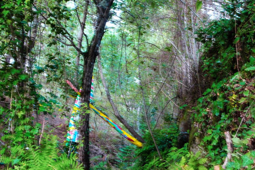 Eco Camping Juncal Hotel Marco de Canavezes Esterno foto